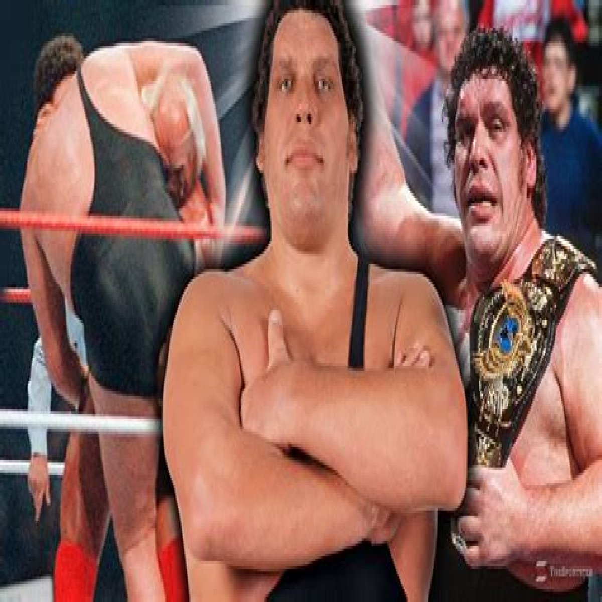 Andre The Giant - Height, Death & Facts