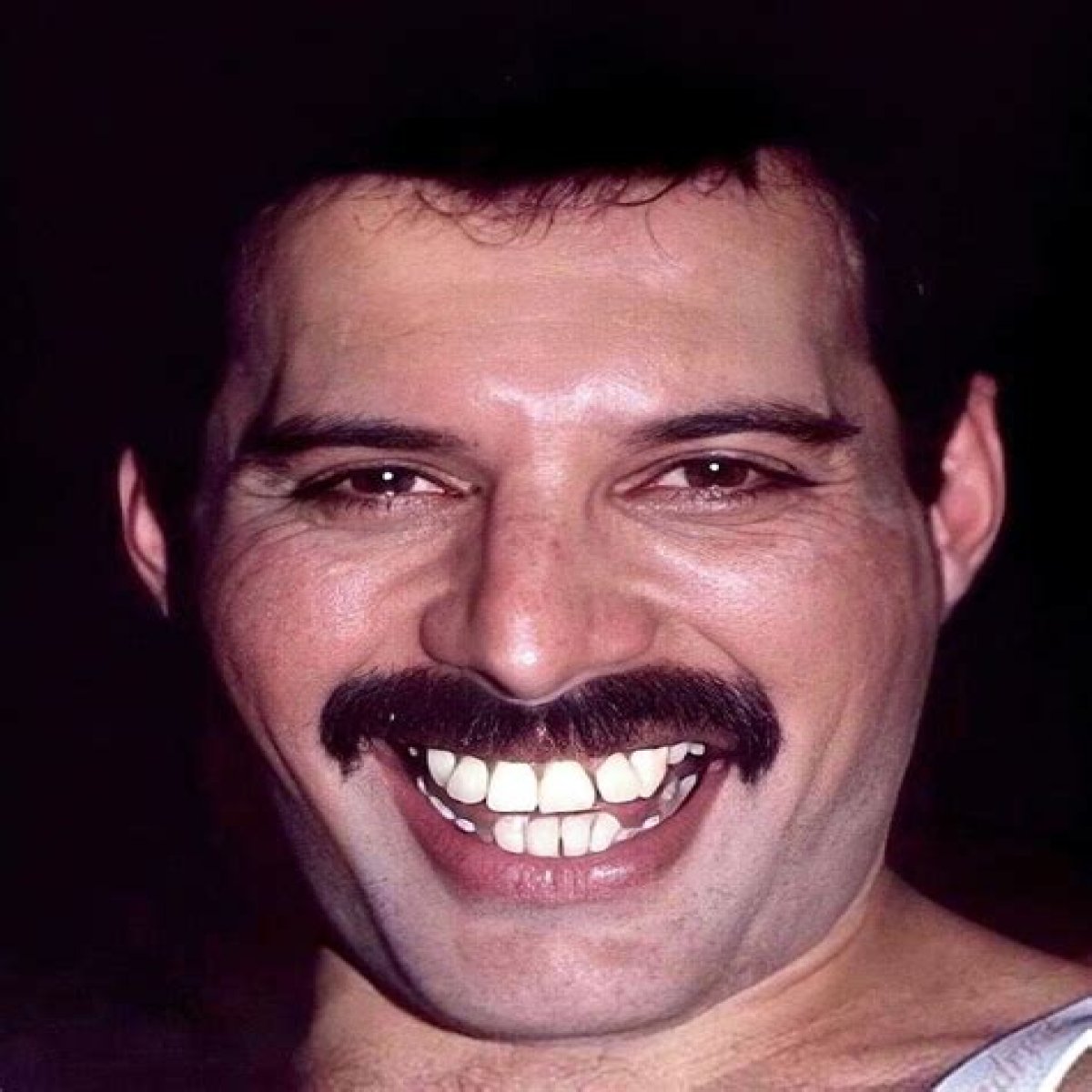 Freddie Mercury - Teeth, Live Aid & Movie