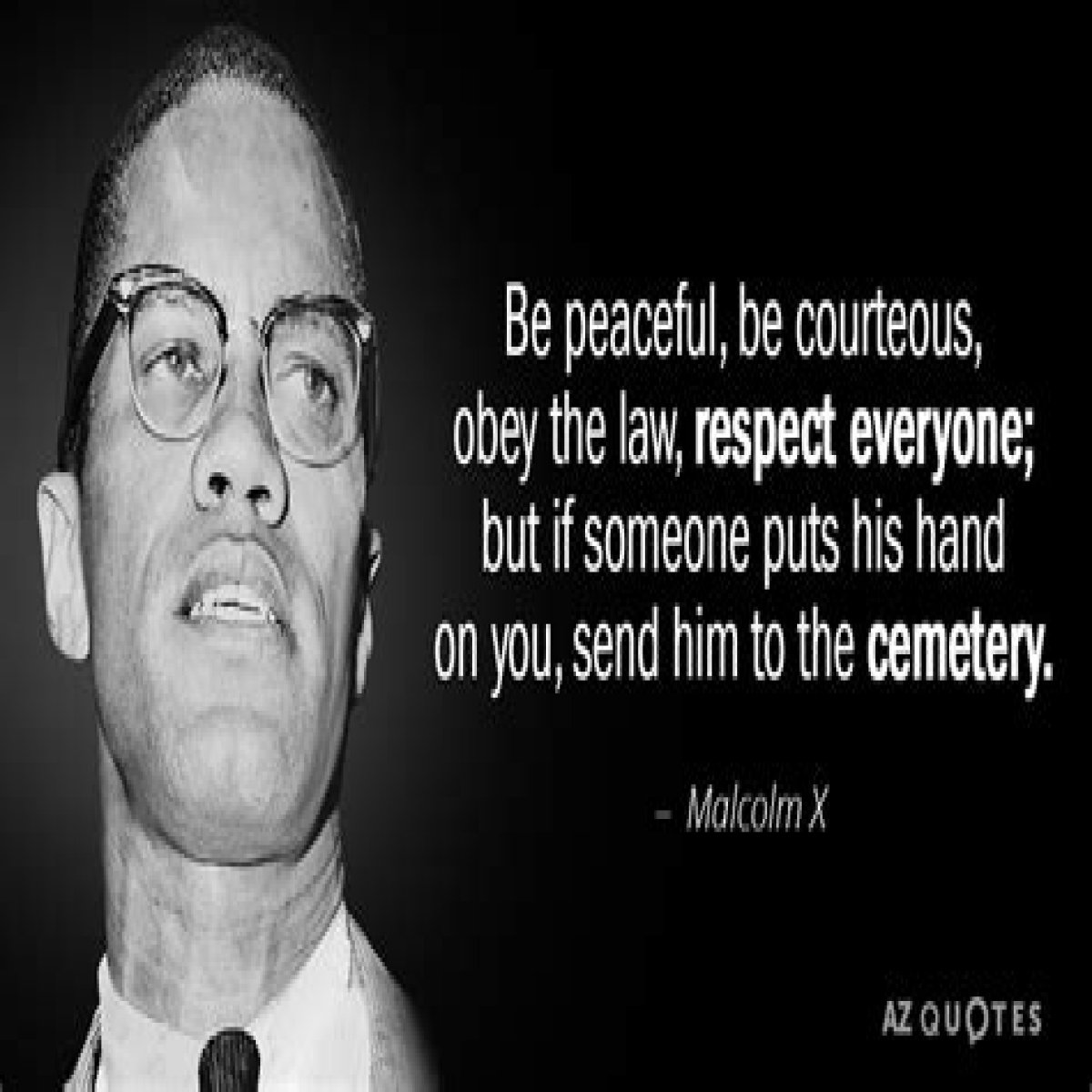 Malcolm X - Quotes, Movie & Children
